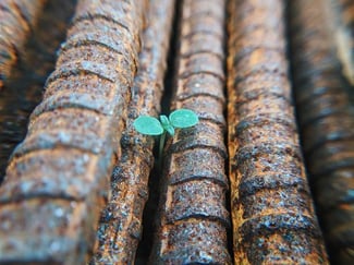 Hope