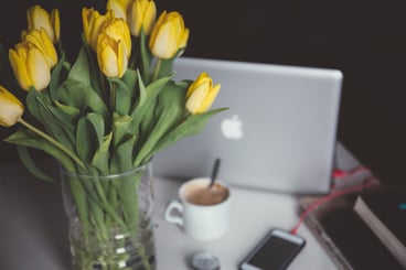 alisa-anton-TFB-yM97hGg-unsplash-1