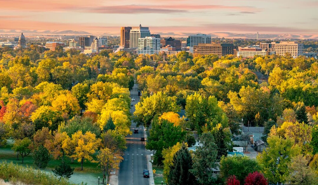 The 7 Key Benefits of Hiring a Fractional CFO in Boise